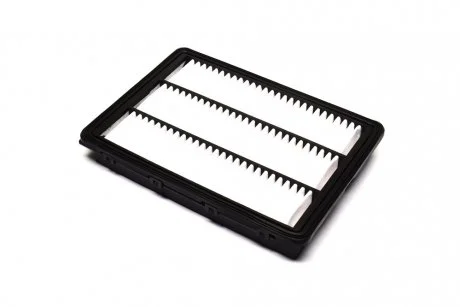 Фільтр повітряний ExtraClean HYUNDAI, KIA RIDER REC200441