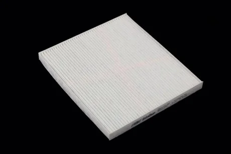 Фільтр салону ExtraClean HYUNDAI, KIA RIDER REC610119