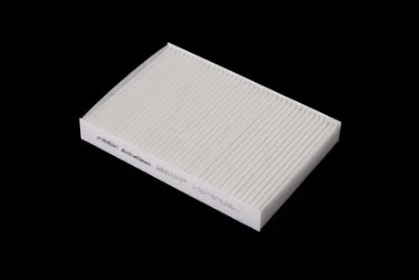 Фільтр салону ExtraClean DACIA RIDER REC610273