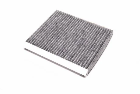 Фільтр салону ExtraClean HONDA вугільн. RIDER REC610355