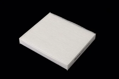 Фільтр салону ExtraClean HYUNDAI, KIA RIDER REC610357