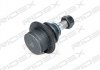 Опора шаровая (передняя) Ford Transit/Connect 1.8-3.2TDCi 00- RIDEX 2462S0063 (фото 1)