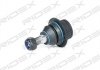 Опора шаровая (передняя) Ford Transit/Connect 1.8-3.2TDCi 00- RIDEX 2462S0063 (фото 4)