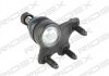 Опора шаровая (передняя/снизу/L) Audi A1 10-/Seat Ibiza 02-15/Skoda Fabia 99-14/Rapid 12-/VW Polo 01 RIDEX 2462S0212 (фото 2)