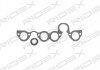 Прокладка колектора впускного VW T5 2.5TDI 03-09 (к-кт) RIDEX 43G0007 (фото 1)