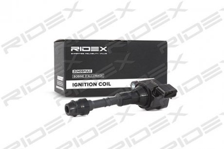 Котушка запалювання Nissan Pathfinder 3.5-4.0 00-/Renault Espace 3.5 02- RIDEX 689C0113