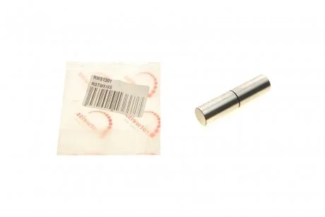 Палець помпи вакуумної ROTWEISS RWS1301