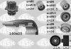 AUDI SEAT VWG  A1 A3 Q5 Altea Ibiza Leon Amarok Golf VI Jetta Passat VI Polo 3906069 SASIC