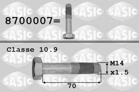 Болт шестерні колінчастого вала M14X1,5X79 CITROEN SASIC 8700007