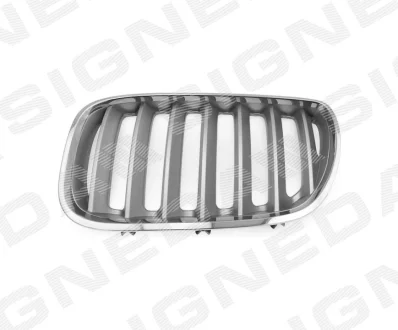 Решетка радиатора Signeda PBM07031GBL