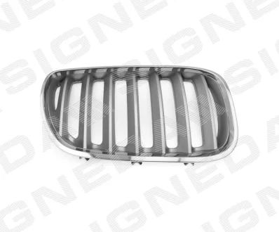 Решетка радиатора Signeda PBM07031GBR