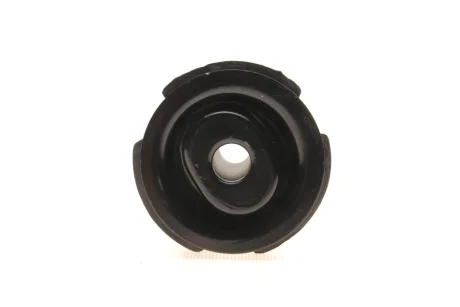 С/блок передн.нижнього важеля W210 15x60x97 SKF VKDS338054