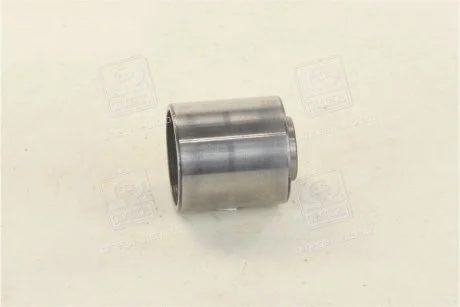 Фото ролик модуля натягувача ременя SKF VKM21012 Ролик модуля натягувача ременя SKF VKM21012