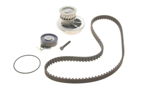 Насос води + комплект зубчатого ремня SKF VKMC90202