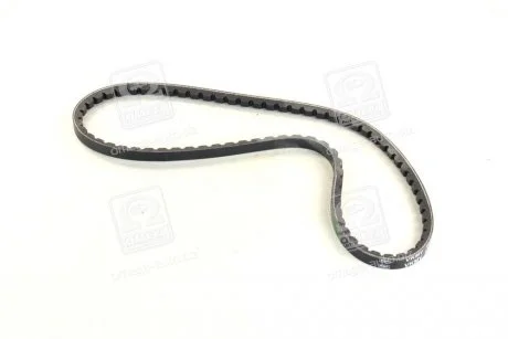 Ремінь клиновий 10X800 AUDI BMW CITROEN FIAT FORD OPEL VW SKF VKMV10AVX800