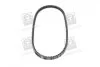 Ремінь клиновий 13X875 DAEWOO Espero FIAT MAZDA 323 DB NISSAN OPEL... SKF VKMV13AVX875 (фото 2)