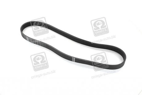 Ремінь 6PK923 FIAT 1,6i/1,9D FORD Galaxy 1,9TDI VW 1,7SDI/1,9TDI SKF VKMV6PK923