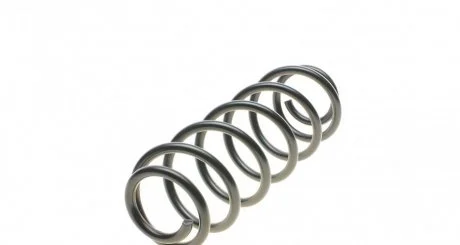 Пружина (задняя) Solgy 212041