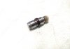 Гідрокомпенсатор Fiat Doblo 1.3MJTD 16v 2004-2011 / Ducato/Scudo 2.0JTD 8v SWAG 10924192 (фото 1)
