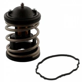 Термостат с прокладкой SWAG 20944683