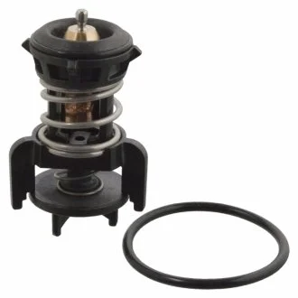 Фото термостат SWAG 30106524 Термостат SWAG 30106524