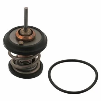 Термостат системи охолодження SWAG 30934782