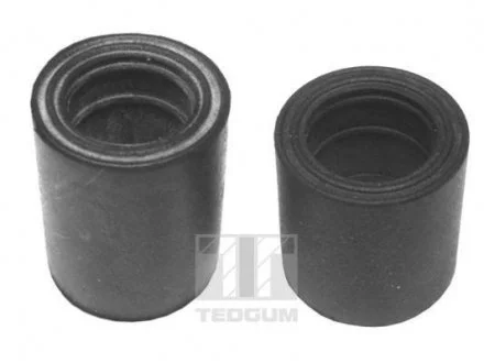Ремкомплект рычага TEDGUM 00745061