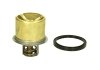 Термостат THERMOTEC D2VO004TT (фото 1)