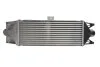 Інтеркулер IVECO DAILY IV 2.3D/3.0D 05.06-08.11 THERMOTEC DAE002TT (фото 2)