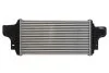 Інтеркулер MERCEDES GL (X164), M (W164) 3.0D/4.0D 07.05-08.12 THERMOTEC DAM028TT (фото 2)