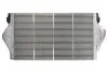 Інтеркулер RENAULT ESPACE IV, LAGUNA II, VEL SATIS 2.0/2.2D 10.01- THERMOTEC DAR025TT (фото 2)