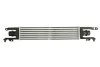 Інтеркулер THERMOTEC DAX010TT (фото 2)