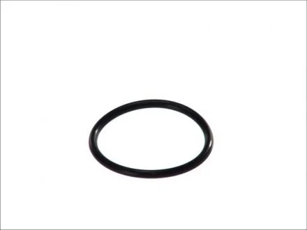 Фото прокладка термостату TOPRAN / HANS PRIES 100618 Прокладка термостату TOPRAN / HANS PRIES 100618