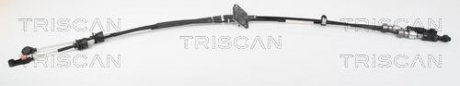 TRISCAN 814050704