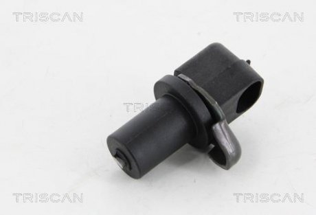 TRISCAN 818021124
