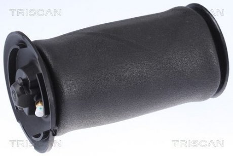 TRISCAN 872011202
