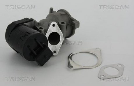 Клапан EGR Citroen Jumpy 2.0 HDI 07-/Peugeot 307/407/607/807/Expert 06- TRISCAN 881310001