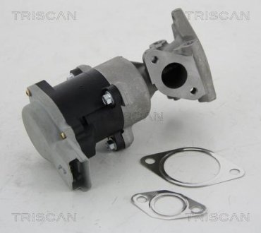 ZAWрR EGR CITROEN 2,7HDI PEUGEOT 2,7HDI TRISCAN 881310008