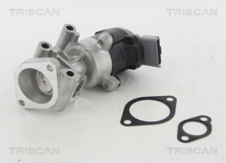 ZAWрR EGR CITROEN 2,7HDI PEUGEOT/LAND ROVER TRISCAN 881310009