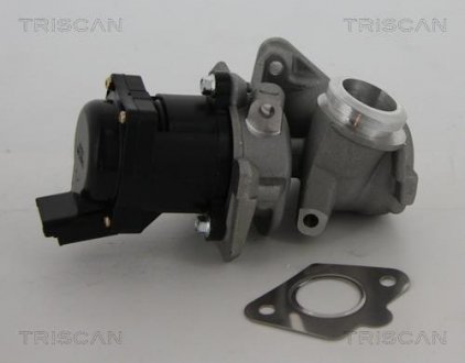 Клапан EGR Peugeot 1.6Hdi TRISCAN 881310010