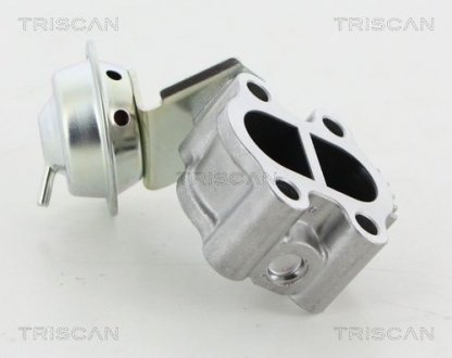 TRISCAN 881313060