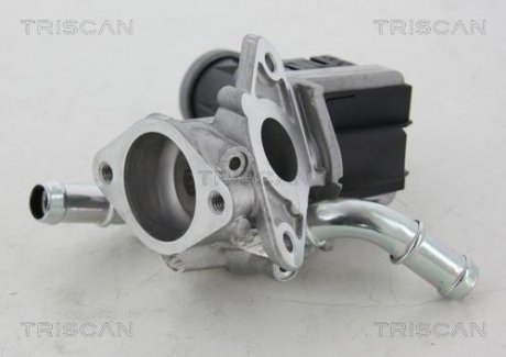 ZAWÓR EGR PEUGEOT 2,2HDI CITROEN FORD 2,2TDCI TRISCAN 881316036