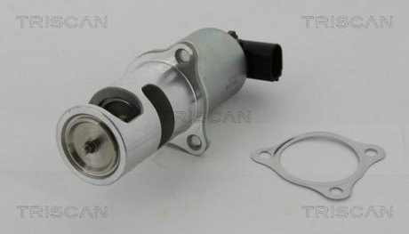 ZAWрR EGR RENAULT 1,9DCI LAGUNA II/KANGOO TRISCAN 881324037