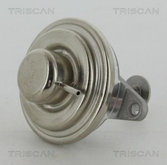 Клапан EGR Opel Vectra B 2.0 DTI 16V / Astra G 2.0 DI 16V / Zafira A 2.0 DI 16V TRISCAN 881324054
