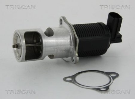 ZAWрR EGR RENAULT 2,2DCI LAGUNA II/ESPACE IV TRISCAN 881324055