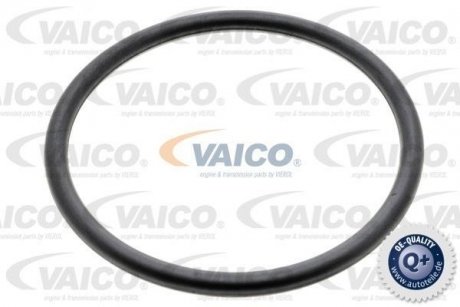 VAICO V102571