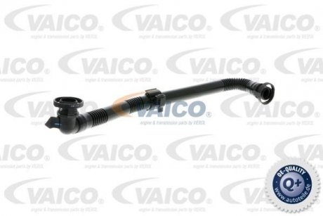 Hose, air supply VAICO V103585