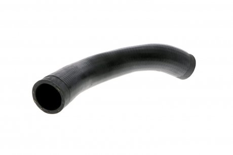 Hose Line VAICO V401521