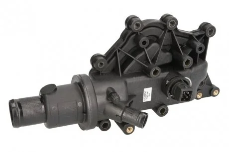 Термостат RENAULT MEGANE II Vernet TH697189J