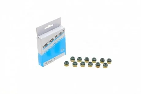 Набір прокладок, стрижень клапана Victor Reinz 12-26058-01